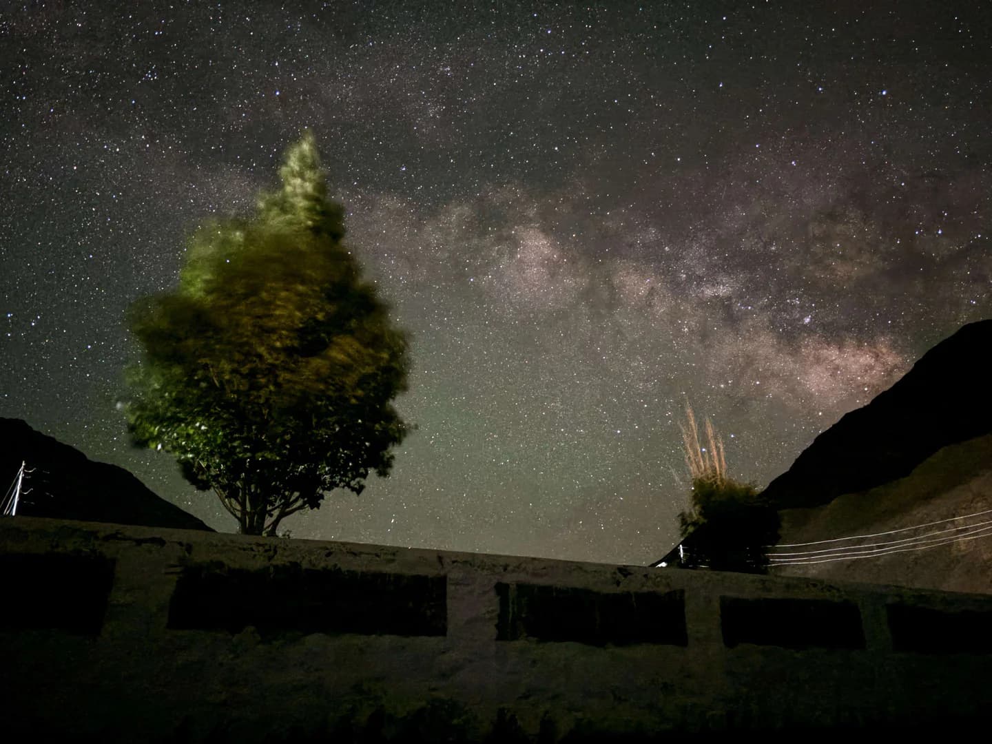 Milky Way behind tree near Key Monastery, Spiti